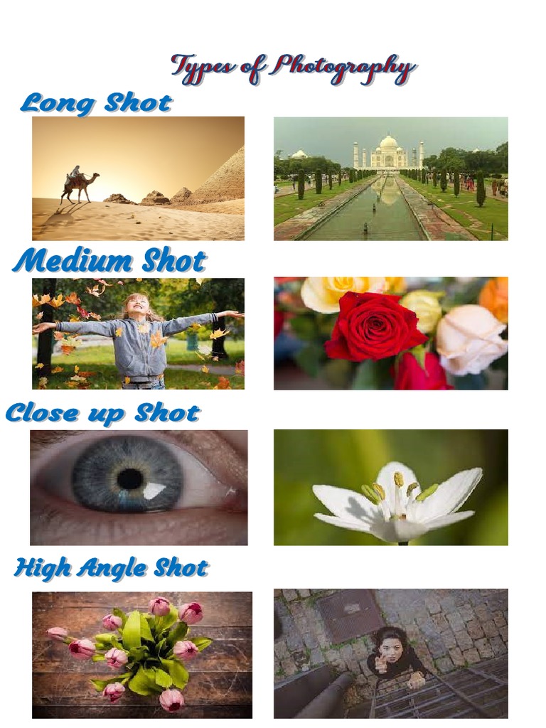 Types of Photography | PDF