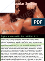 Part 3 Muscular System Preview