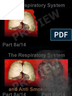 Part 8a Respiratory System Preview
