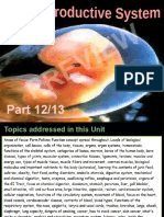 Part 12 Reproductive System Preview