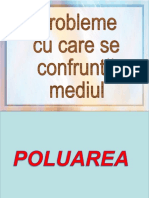 Efectele Dure Ale Poluarii