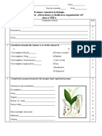 Evaluare Sumativa Cl8 Mod1 2022