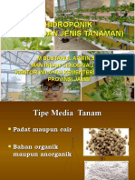 Media Dan Jenis Tanaman Hidroponik