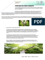 Conservación Del Medio Ambiente.