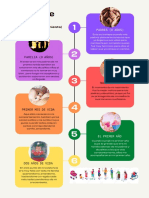 Cartel Línea de Tiempo Infografía Multicolor