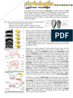 Embriologia Sistema Nervioso