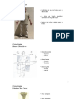 Osteologia - Farmã Cia 1 2