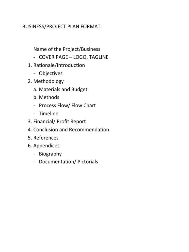 Business Project Plan Structure | PDF
