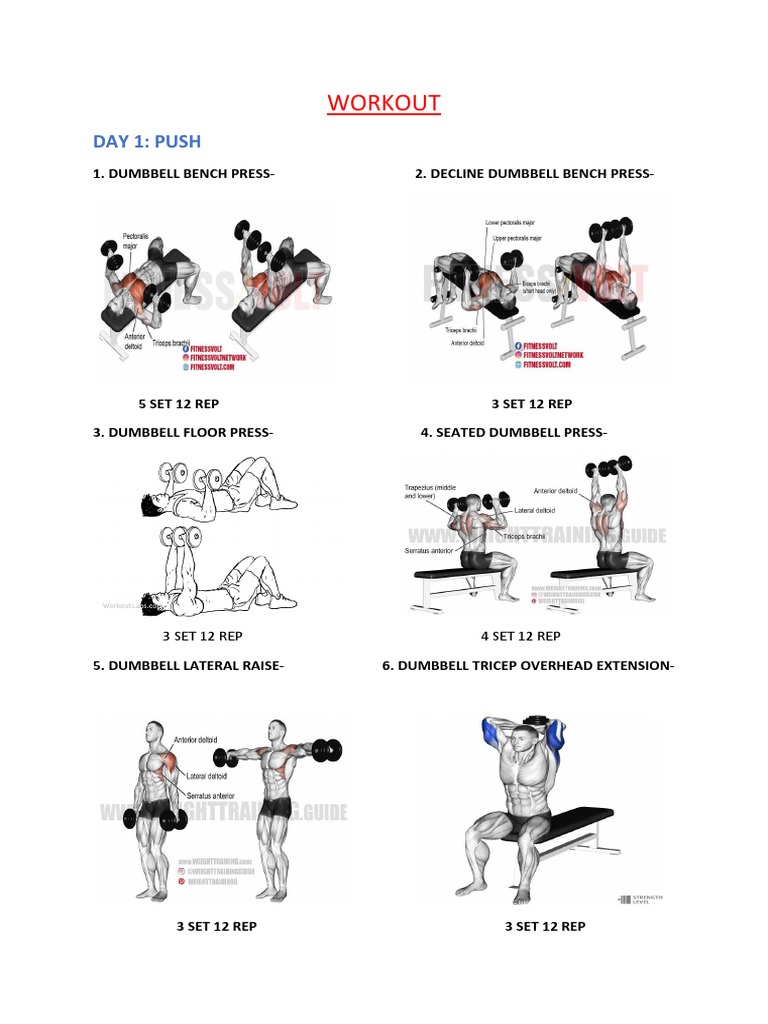 Workout pdf
