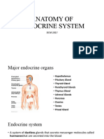 Endocrine System 2017