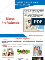 Pp4-Modulo 3-Riscos Profissionais-2.3-O Stress No Trabalho