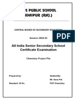 Chemistry Project Format