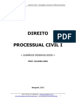 Direito Processual Civil - Apontamentos.2013