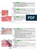 Cortes P13-24