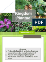 Plantae 2022