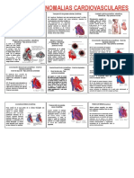 Anomalías cardiovasculares y del sistema nervioso: causas, diagnóstico y tratamiento