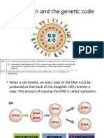 DNA Replication