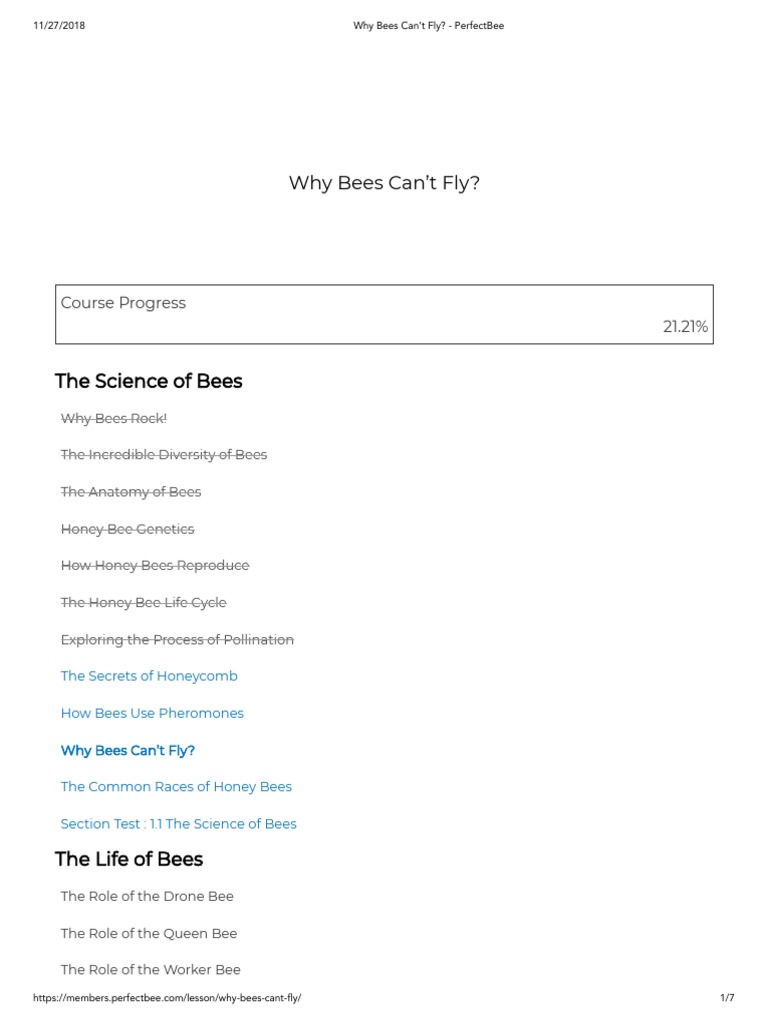 Understanding Why Bees Can't Fly | PDF | Honey Bee | Beekeeping