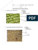 Pengenalan Struktur Sel Dan Jaringan Tumbuhan