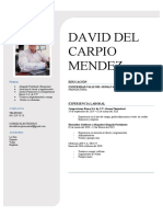 CV David 1