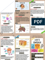 Folleto Tríptico Flyer Academia de Clases de Repaso Escolar Doodle Marrón y Blanco