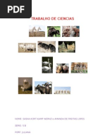 Quais as Vantagens Da Clonagem Humana