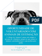 Oportunidade de Voluntariado Com Animais de Estimação