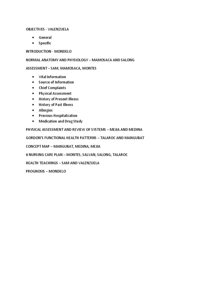 Nursing Assessment and Care Plan Guide | PDF