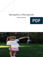 Sensacion y Percepcion