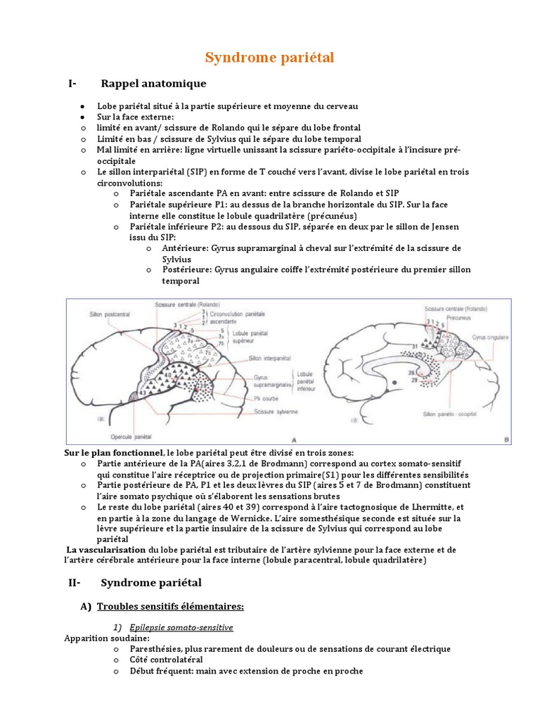 Troubles du syndrome pariétal | PDF | Aphasie | Circonvolution cérébrale