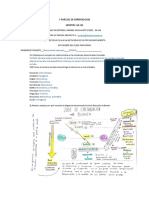 I Parcial de Mineralogia Grupos g4-g5