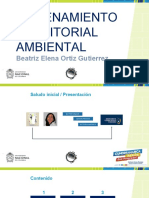 Ot Ambiental - Presentación