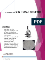 Microbes in Human Welfare