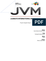 Proyecto Integrador Etapa 2 Calculo