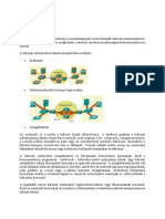 Hálózati Infrastuktúra