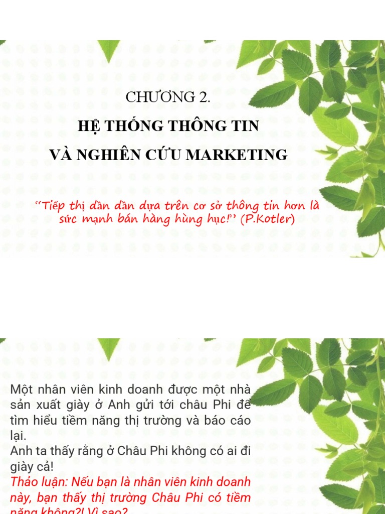 Chương 2. Hệ Thống Thông Tin Và Nghiên Cứu Marketing | PDF