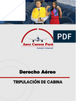 Acp Manual Derecho Aéreo