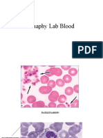2021 Anaphy Blood Lab