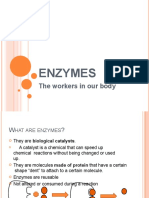 Enzymes