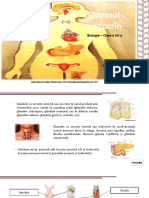 731.-sistemul-endocrin (2)