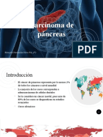 Carcinoma de páncreas: factores de riesgo, diagnóstico y pronóstico