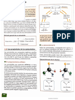 Tema 4.las Proteínas y La Acción Enzimática