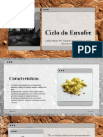 Ciclo Do Enxofre