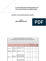 Matriz Jerarquizacion