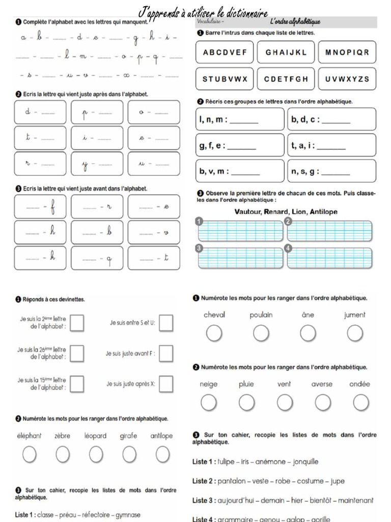 COMMENT UTILISER LE DICTIONNAIRE visual data 6