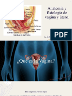 Anatomía y Fisiología de Vagina y Útero
