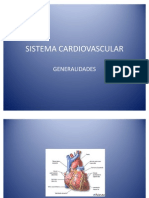 Sistema Cardiovascular