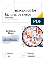 Jerarquización de Los Factores de Riesgo