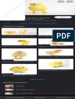 Pintinho - Google Search