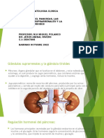 Diapo de Analisis, Tema Xi